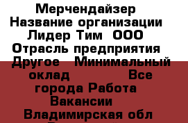 Мерчендайзер › Название организации ­ Лидер Тим, ООО › Отрасль предприятия ­ Другое › Минимальный оклад ­ 27 000 - Все города Работа » Вакансии   . Владимирская обл.,Радужный г.